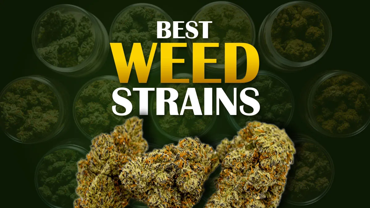 40 Best Weed Strains